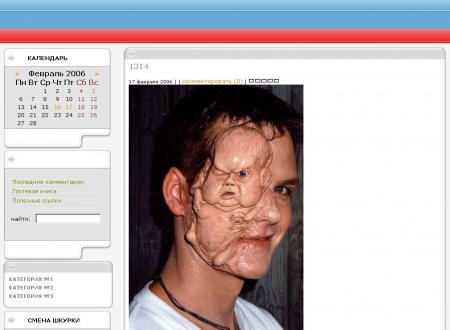Бесплатный шаблон для новостного движка DataLife Engine zbot.zip